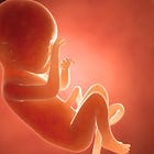 Personhood: Abortion's Essential Question