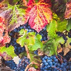 Inspired by Grapes