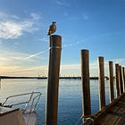 🕊️ Spotlight on: 20 Martha's Vineyard-Based Non-Profits