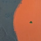 L'Amazzonia brasiliana: deforestazione e dintorni