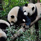 中国の野生パンダになお残る生存リスク