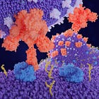 Spike Protein, novel binding sites and coagulopathy