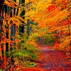 Color me Autumn