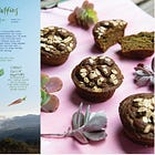 A Hopefully Helpful Thing + A Thought: Blender Muffins...and Why Calling Them 'Healthy' is Complicated