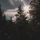 Meditation | 009