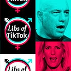 The big lie about the Libs of TikTok Twitter account