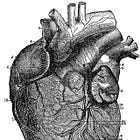 Intramyocardial Inflammation after COVID-19 Vaccination