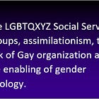 The LGBTQXYZ Social Services Groups, assimilationism, the lack of Gay organization and the enabling of gender ideology. 