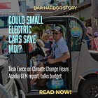Could Small Electric Cars Save MDI