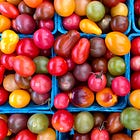 The lazy person’s guide to saving summer produce