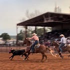 What's the good in a rodeo? - #49