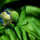 Real World Solutions for the Climate Crisis - Part 1