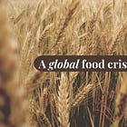 The world braces for a food catastrophe. Here's what you can do.