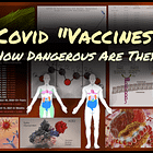 COVID “Vaccines”; How Dangerous are They?