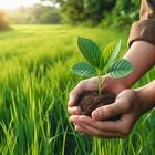 Making a Start to a Better Life 