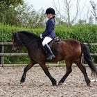 Autumn dressage league sees beautiful weather at Knockagh View
