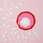 Claim CME: 🧬 Fertility Doctors' Sperm