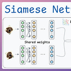 Contrastive Learning Using Siamese Networks