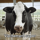 [Podcast] Verlan, argot, and other French slang