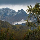 From Mistaken Identity to Signature Grape: Carmenère’s Chilean Chapter