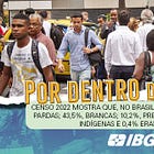 📸 Um retrato da população por cor ou raça