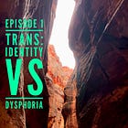 1 - Trans: Identity vs Dysphoria