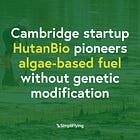 Cambridge startup HutanBio pioneers algae-based sustainable fuel without genetic modification