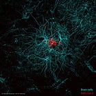 What COVID-19 Does To The Body (Seventh Edition, March 2025)