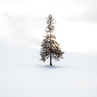 Hokkaido Travel Diaries: Day 3 — Merry Christmas