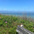 🆓 30+ Free and Budget-Friendly Things to Do on Martha's Vineyard in 2025