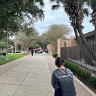Bands of Non-Students, Out of Town Instigators, Descend on UTRGV