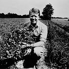 Jimmy Carter's anti-corruption legacy is being desecrated