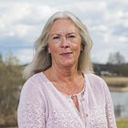 Eva Lindberg: Gävleborg kan bli skyltfönster för helprivatiserad vård