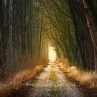 How can writers meet this moment in history and stay on track?