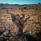 Monastrell, Mourvèdre, or Mataro? Call It What You Want—I Call It Delicious!