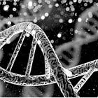 The Message of Rising Excess Deaths – Don’t Mess With Our DNA 