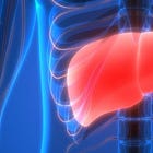 Rapid Liver Failure after Pfizer jabs most likely due to miR-155 upregulation by Endotoxin