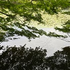 # 3 Living in a Traditional House in Kyoto