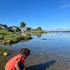 📅 Toddler-Friendly Weekend Itinerary for Martha's Vineyard 