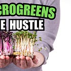 🧠 A Microgreen Side Hustle