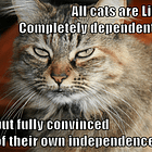 Libertarian Guy: The Only Good Use Of Subsidized Healthcare Is My Use Of Subsidized Healthcare