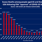 SHOCKING: USA Has Recorded Over 1 Million Excess Deaths Among the Over 65’s Since the FDA “Approved” the COVID-19 Vaccine 
