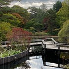 🍂 Fall Activities Guide for Martha's Vineyard 2024 
