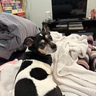 The Adventures of Fake Mom, Tiny Dog, and the Mysterious Beeping Noise