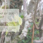 Take A Leaf by Sue Cartwright