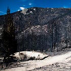 Wildfire in the West is endemic - the fire map tells a clear story