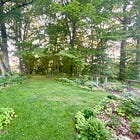 The Woodland Garden