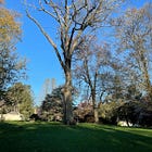 The Old Oak - Embracing Change