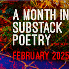 This Month In Substack Poetry 02/2025