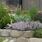 8 ways to reduce compost use